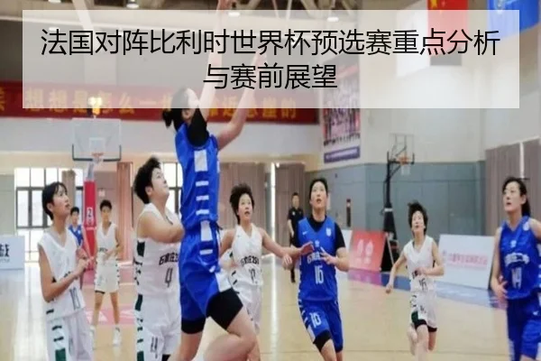 法国对阵比利时世界杯预选赛重点分析与赛前展望